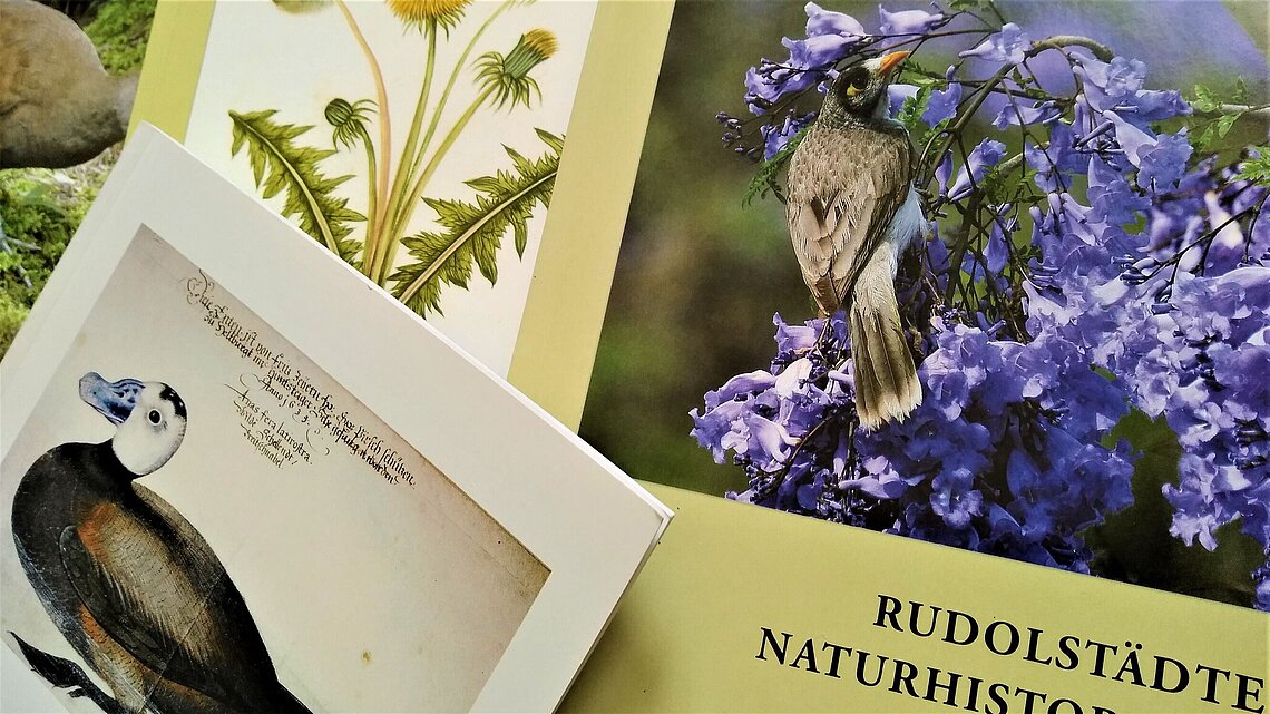 Natural History Papers