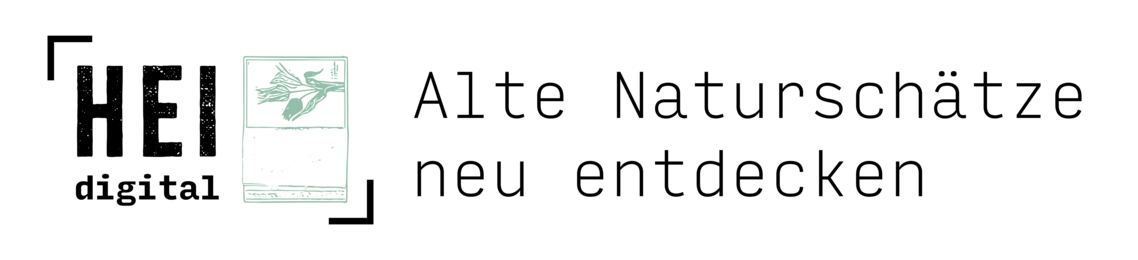 Logo der digitalen Bildungsinitiative HEIdigital mit Slogan ‚HEI – Heimat digital gestalten‘, Buchstaben und Grafik.