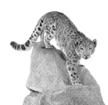 Natural History Museum Rudolstadt